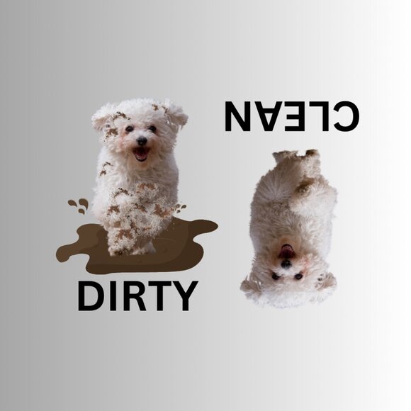 BICHON FRISE Clean Dirty Dishwasher Flexible Magnet - Picture 1 of 1